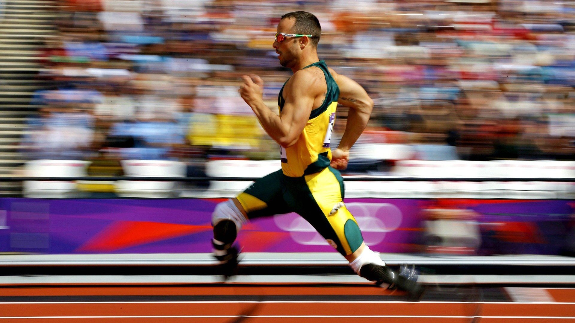 温网翻盘铸就传奇，年终总决赛德约科维奇惊艳四座